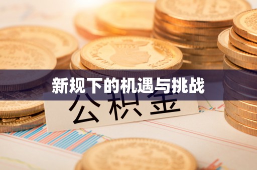 黄平新规下的机遇与挑战