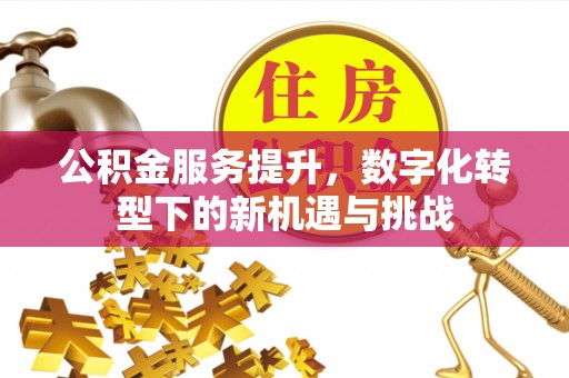 黄平公积金服务提升，数字化转型下的新机遇与挑战