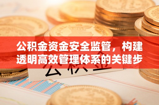 黄平公积金资金安全监管，构建透明高效管理体系的关键步骤