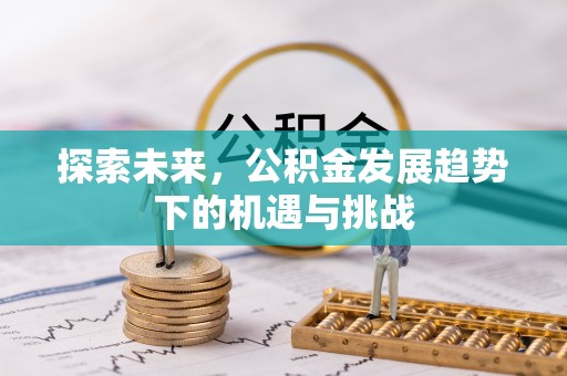 黄平探索未来，公积金发展趋势下的机遇与挑战