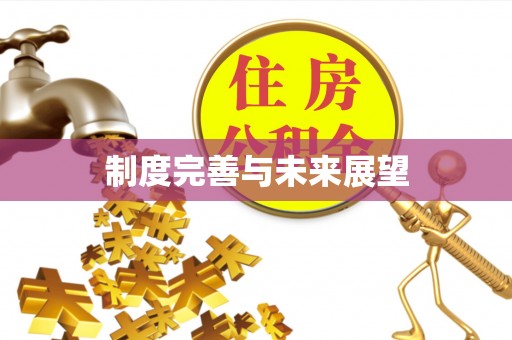 黄平制度完善与未来展望