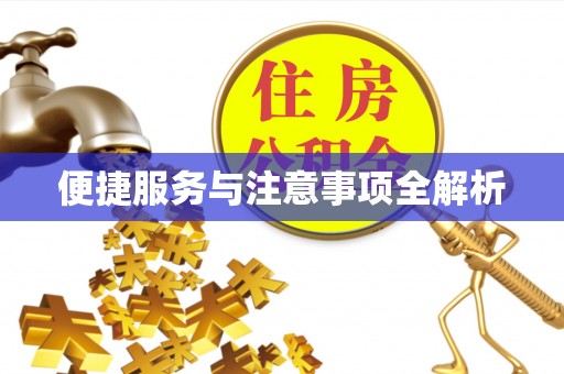 黄平便捷服务与注意事项全解析