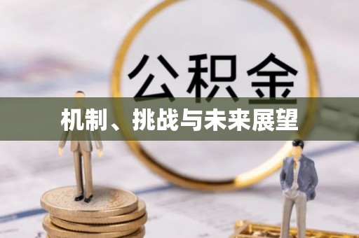 黄平机制、挑战与未来展望