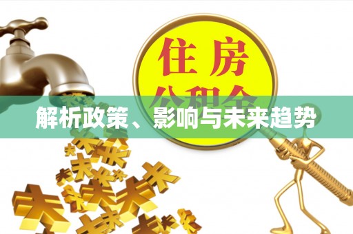 黄平解析政策、影响与未来趋势
